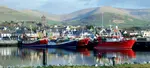 Years back, I struck up a chat with an Irish chap, and asked where might I go. He thought for a second and said, Dingle, Ireland's best kept secret . A woman at the table over perked up, said, Dingle? What about Dingle? 