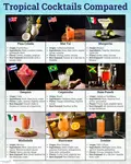 Infographic listing and comparing some of the most iconic tropical cocktails and beach cocktails