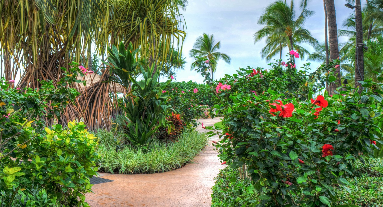 Tropical Plants in Hawaii