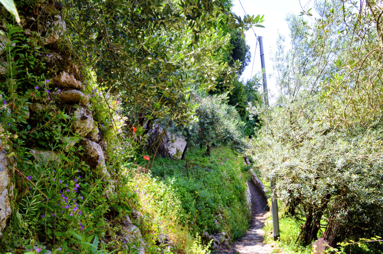 The start of the path to Minori from Ravello