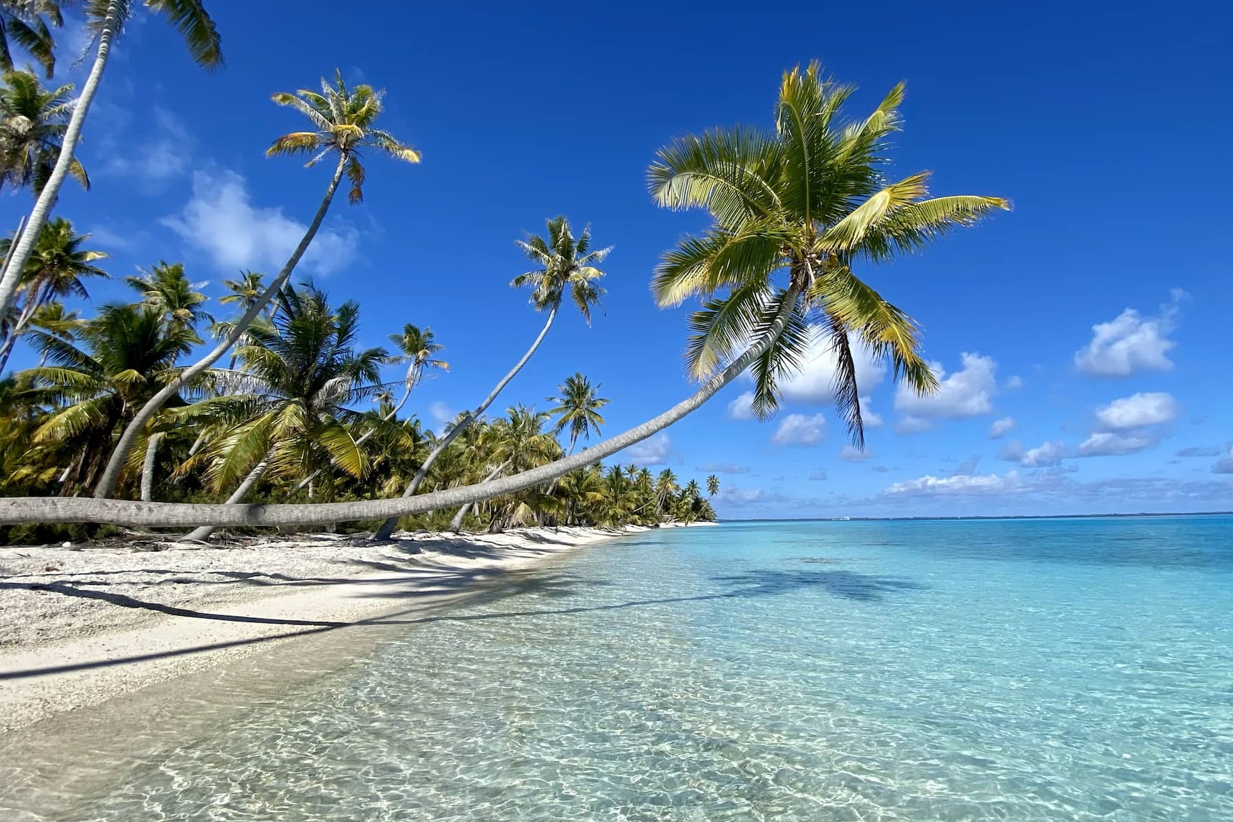 A view of the famous PK9 beach in Fakarava, French Polynesia