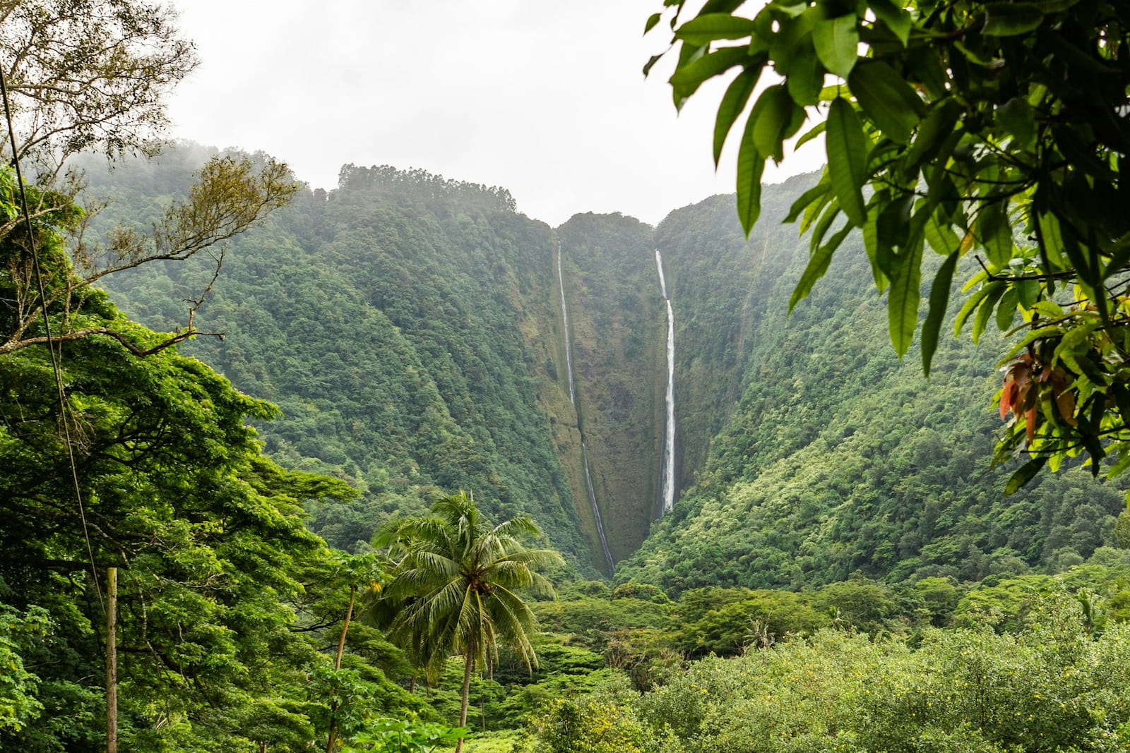 Could The Big Island be the best Hawaii island to visit for nature lovers? It sure  has a lot of natural attractions to offer View of the lush Waipio Valley and waterfall on the Island of Hawaii (Big Island)