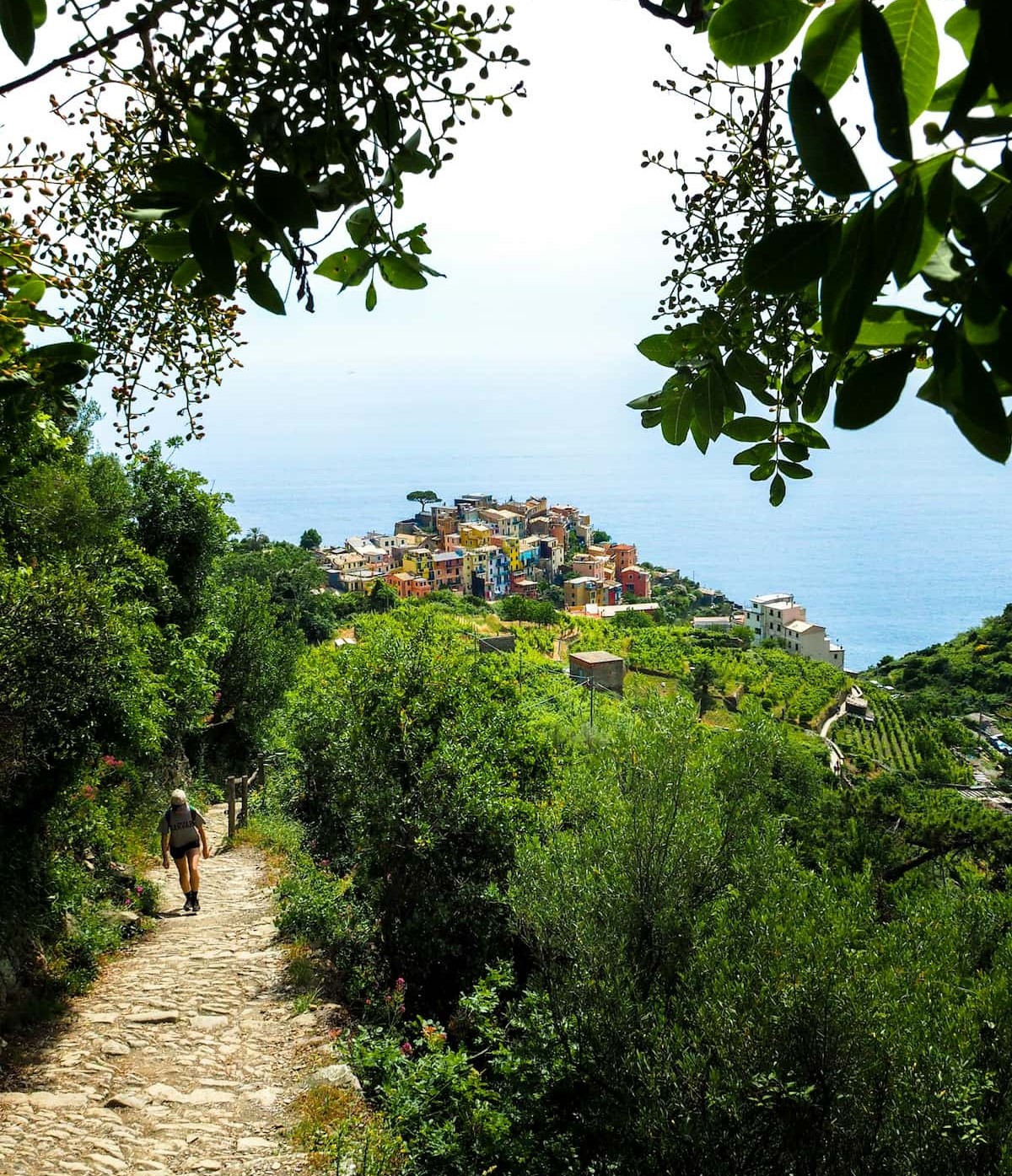 Cinque Terre in May is nice and warm, with perfect weather for enjoying the hiking trails and taking a dip at the fabulous beaches. Hiking trail trail with sea views heading towards one of the Cinque Terre in Italy