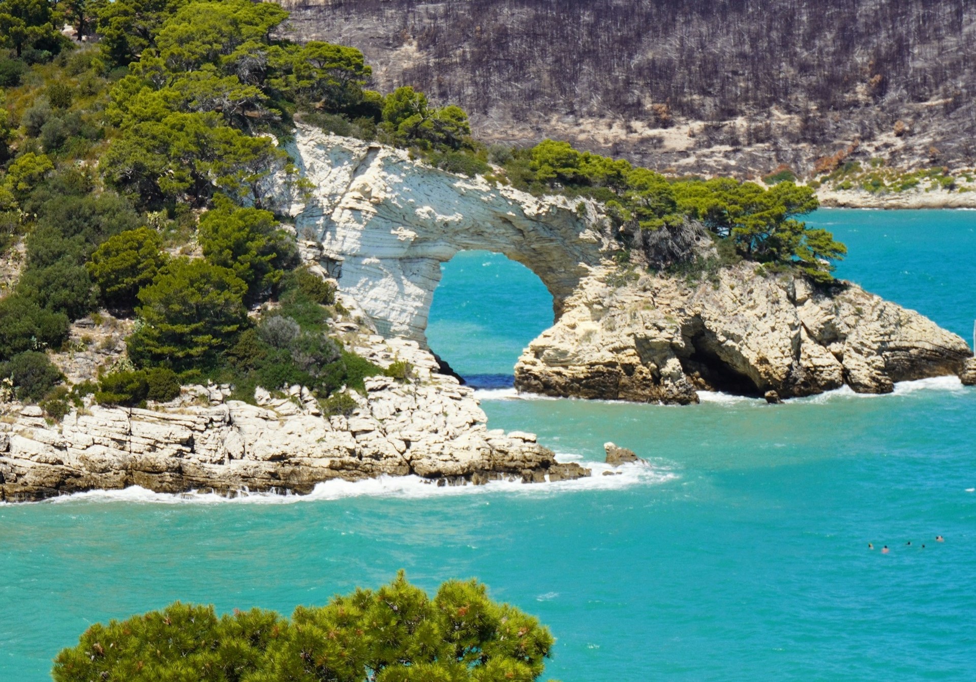 A natural cliff in the Gargano, near Vieste Italy