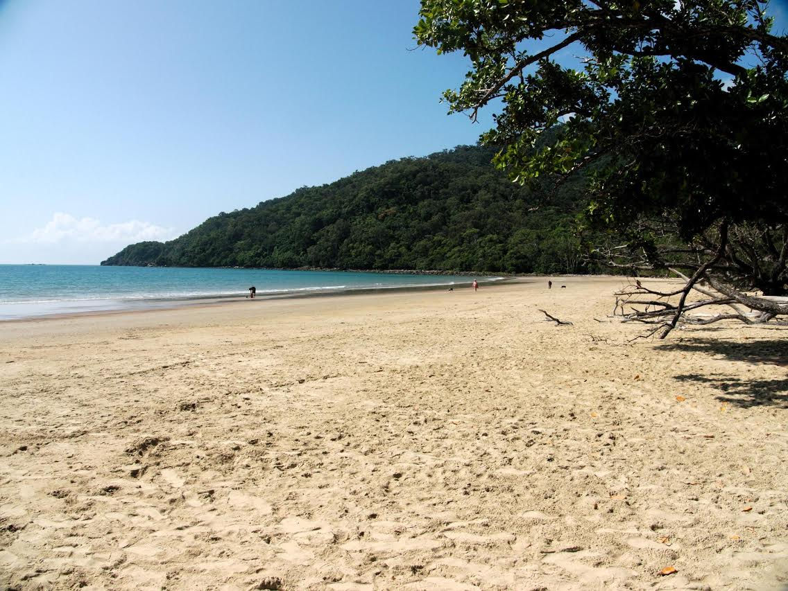 Near Cape Tribulation