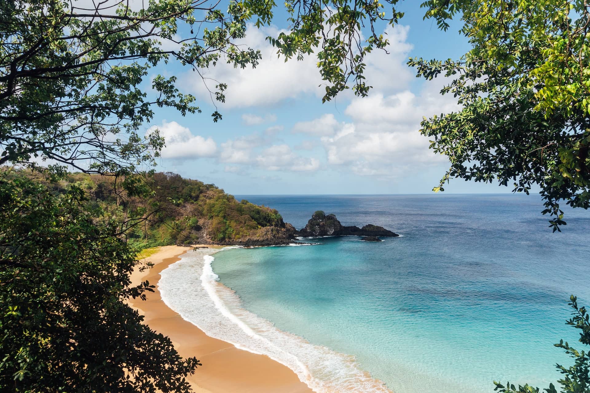 View of beach in Bazil with tree foliage in the foreground View of beach in Bazil with tree foliage in the foreground