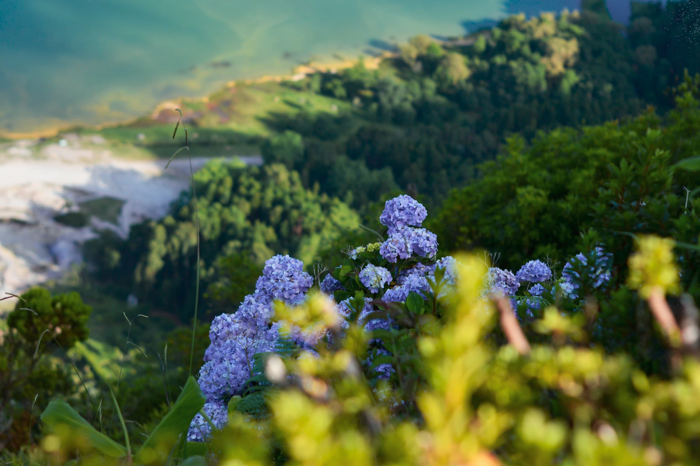 Where is Hot in October? 11 Coastal retreats where summer goes on and the crowds have gone Hydrangeas in the foreground with the coast in the background on the island of Sao Miguel, Azores