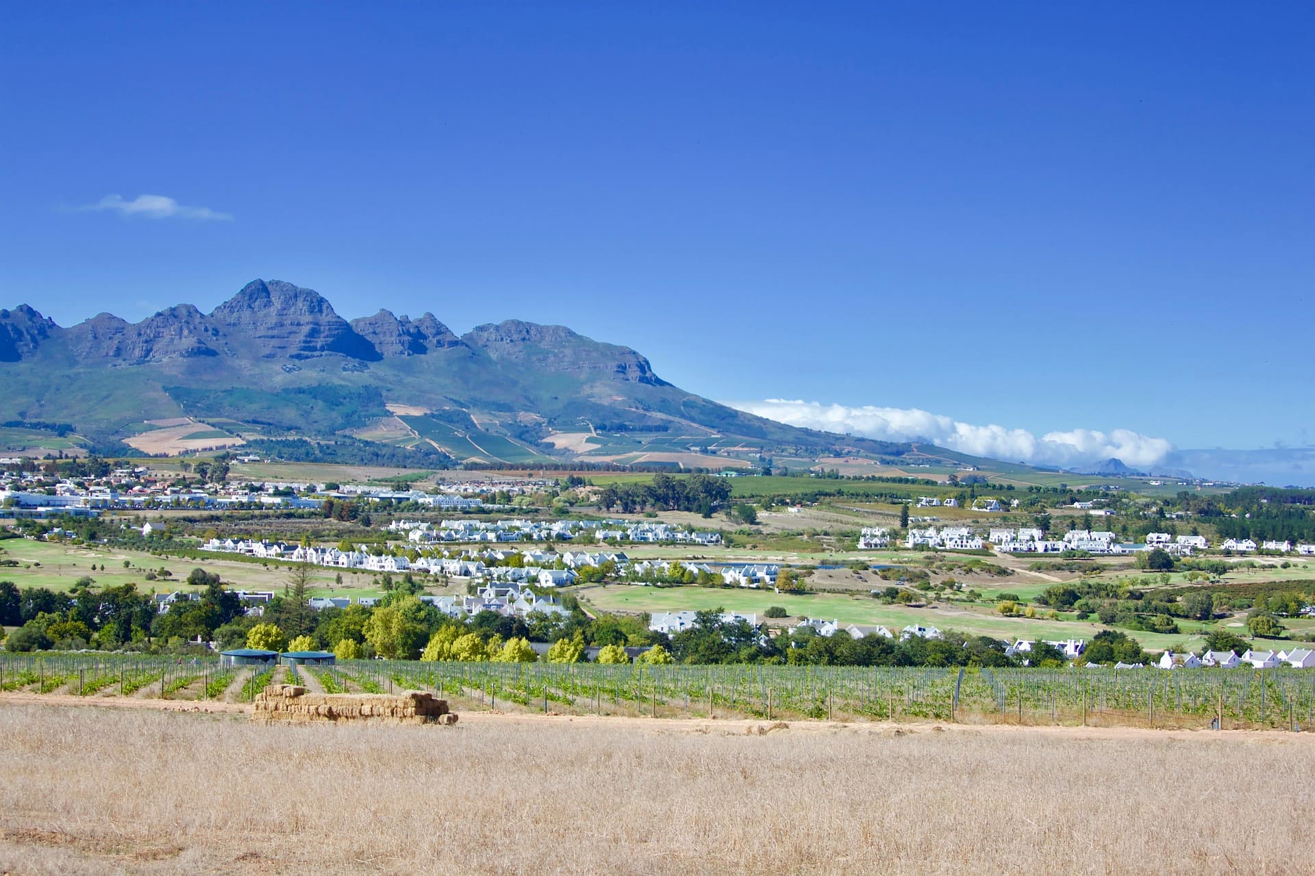 Vineyards in Stellenbosch, located east of Cape Town on the Cape Town map
