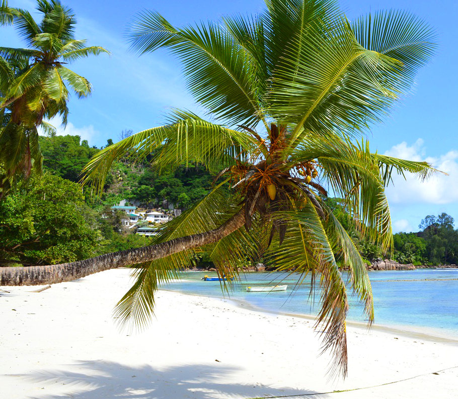 Heading for the Seychelles and wondering which are the best beaches in the Seychelles - the ones you really don't want to miss. We've the answer...