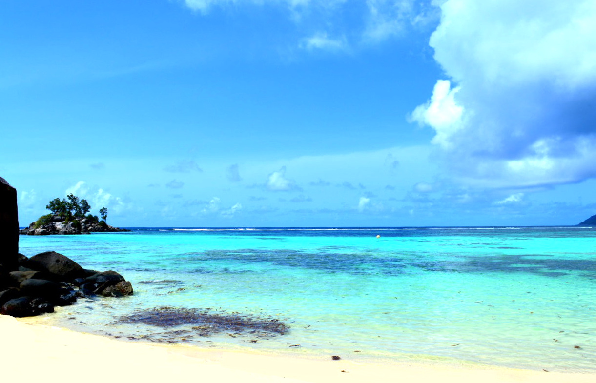 Fairyland Beach -  a real beach where tropical fish flash in brilliant blue seas &  fairies sparkle silver as they flit above the ocean. 