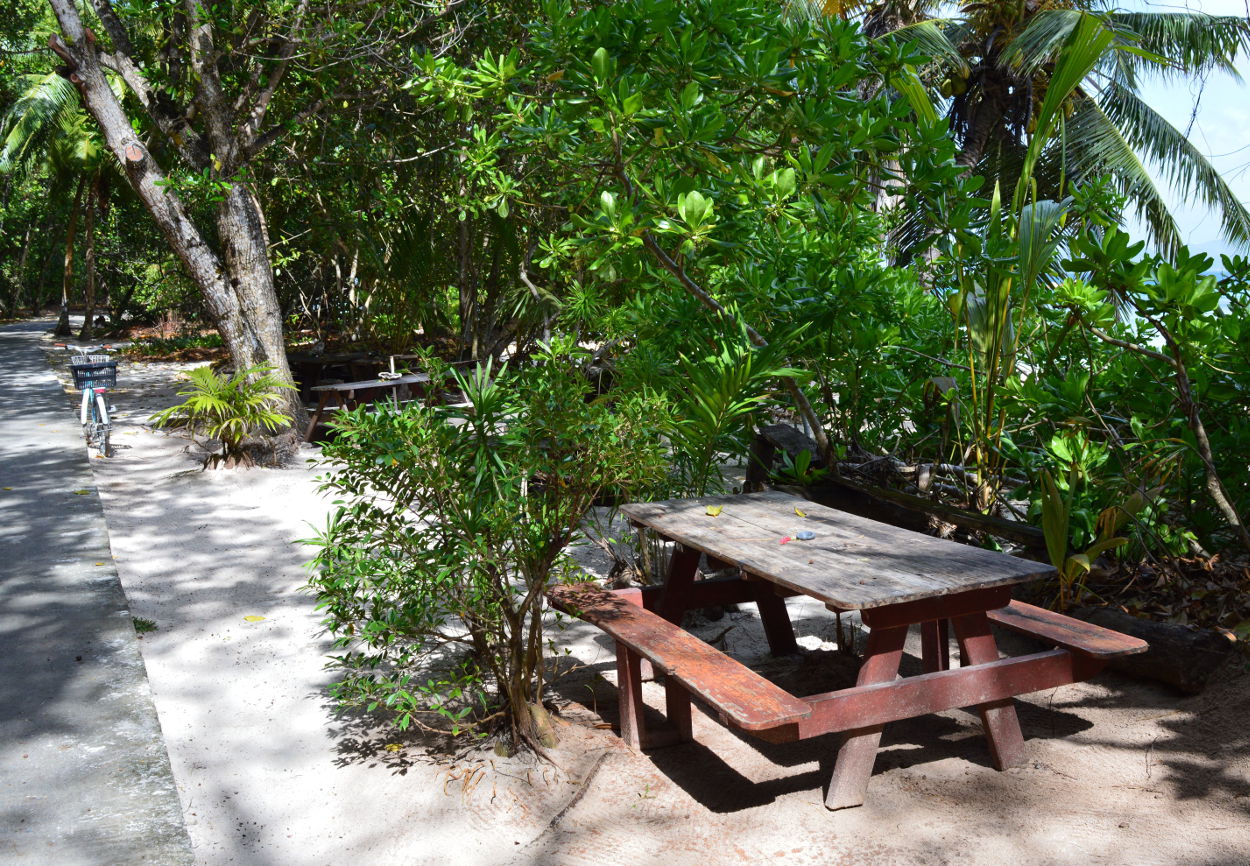 Beach Bar on Anse Severe