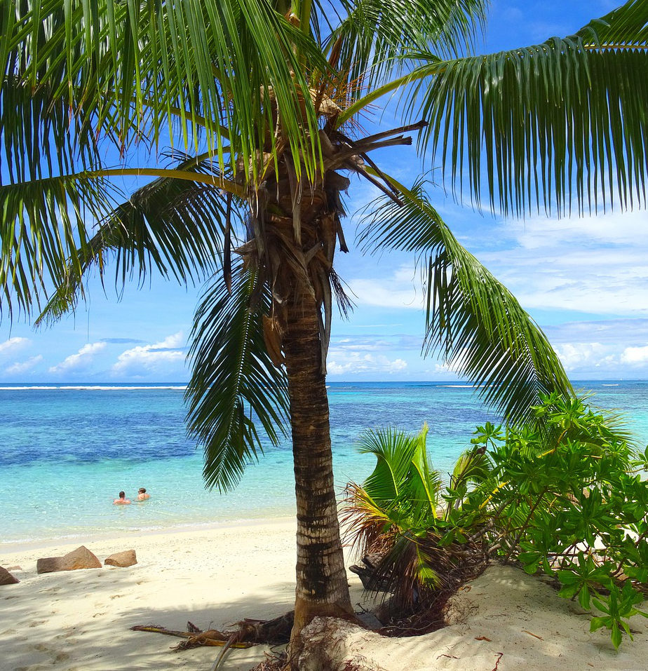 I've written about hundreds of beaches around the world - from Bora Bora to the Caribbean but Anse Lazio really stands out for me... it's magnificent.