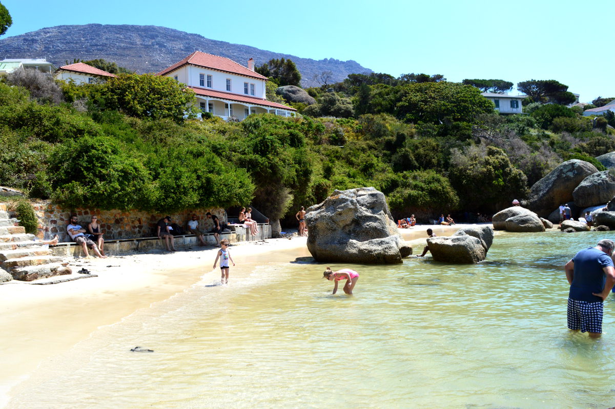 Suntan under the hot sun on a beach of tropical beauty ...with penguins everywhere!  Unbelievable? Yet it is real – come share the sunshine and  meet the penguins on the beach. 