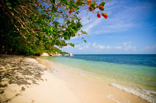 Beach on Praslin Island Beach on Praslin Island