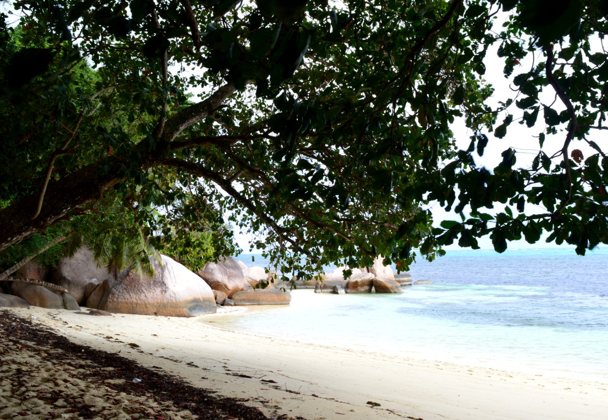 Anse Bois de Rose Anse Bois de Rose