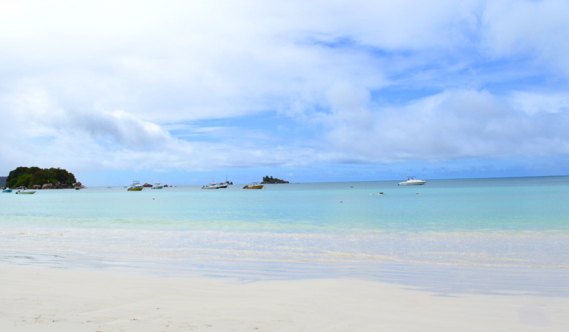 Chauve Souris Island