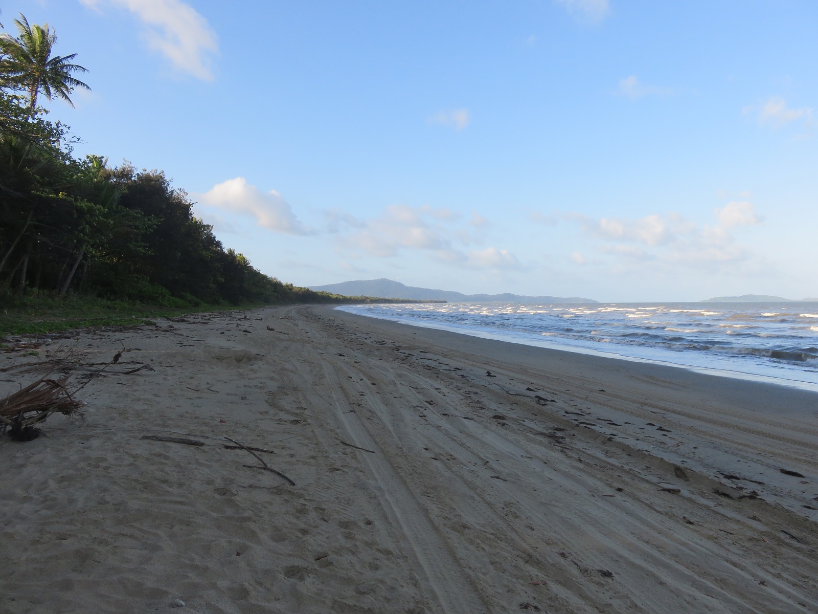 Beach in Port Douglas