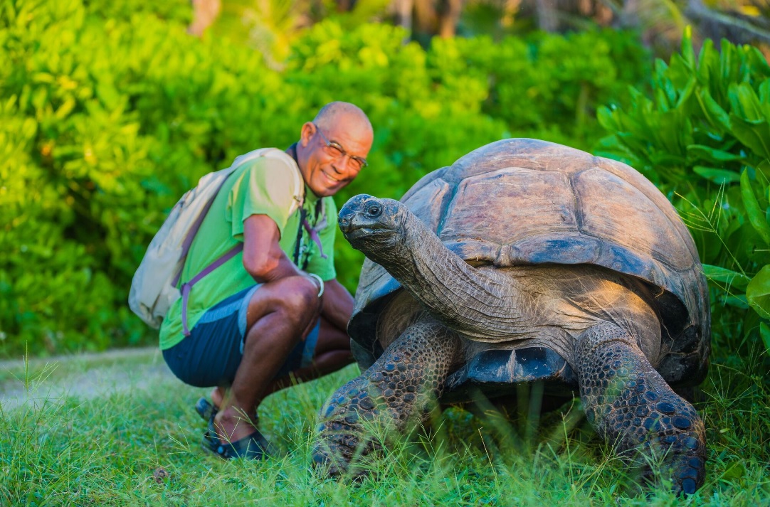 The world's biggest tortoise