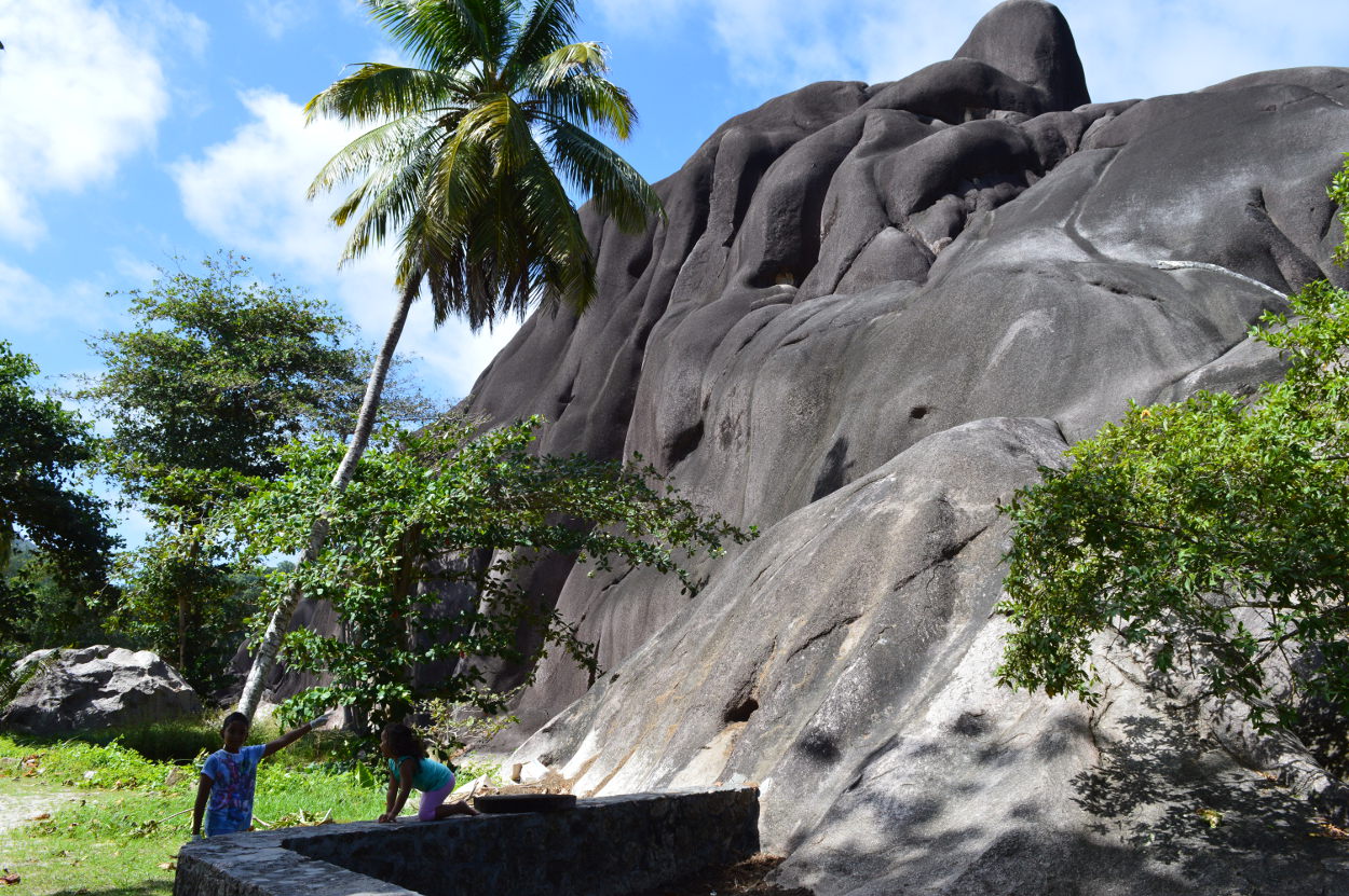 Giant rock and giant tortoise enclosure