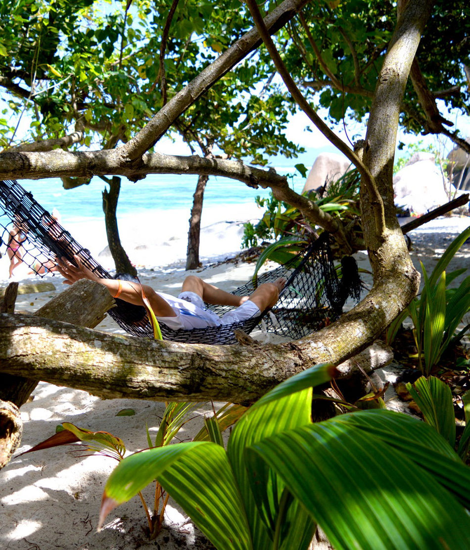 Hammock on the beach