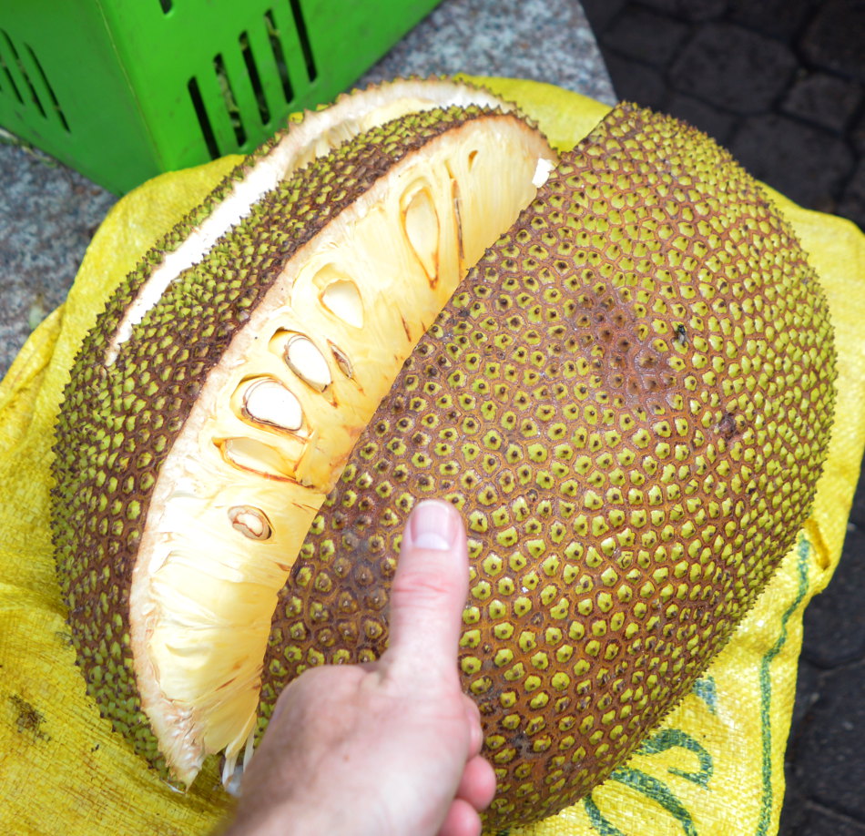Jackfruit