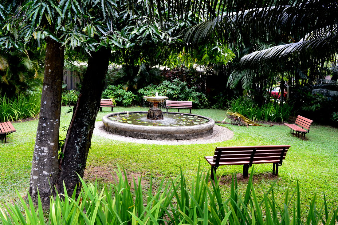 Kenwyn House Gardens