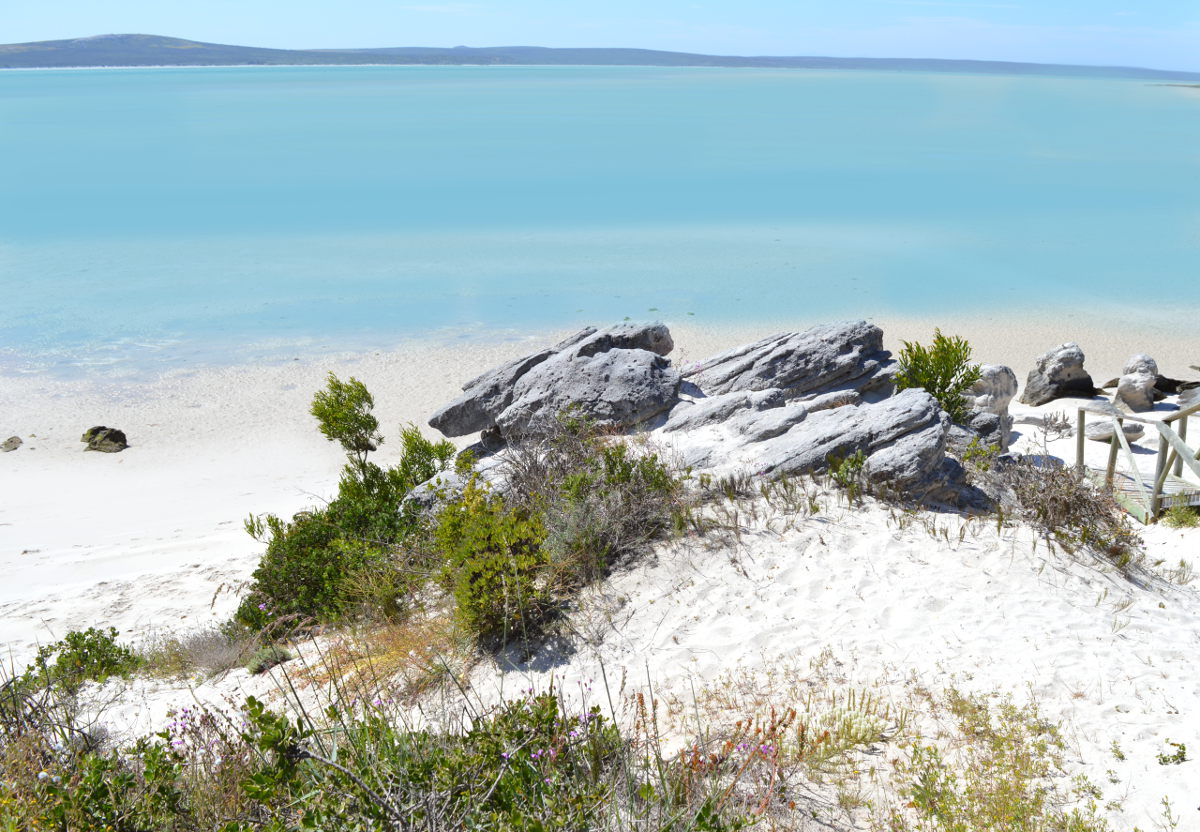 Walkway to the beach
