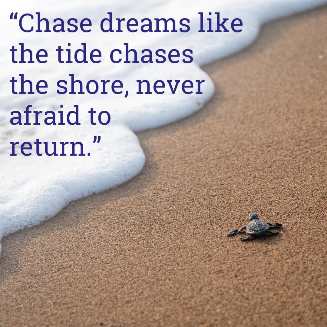 66 Inspirational Ocean Quotes And Sayings