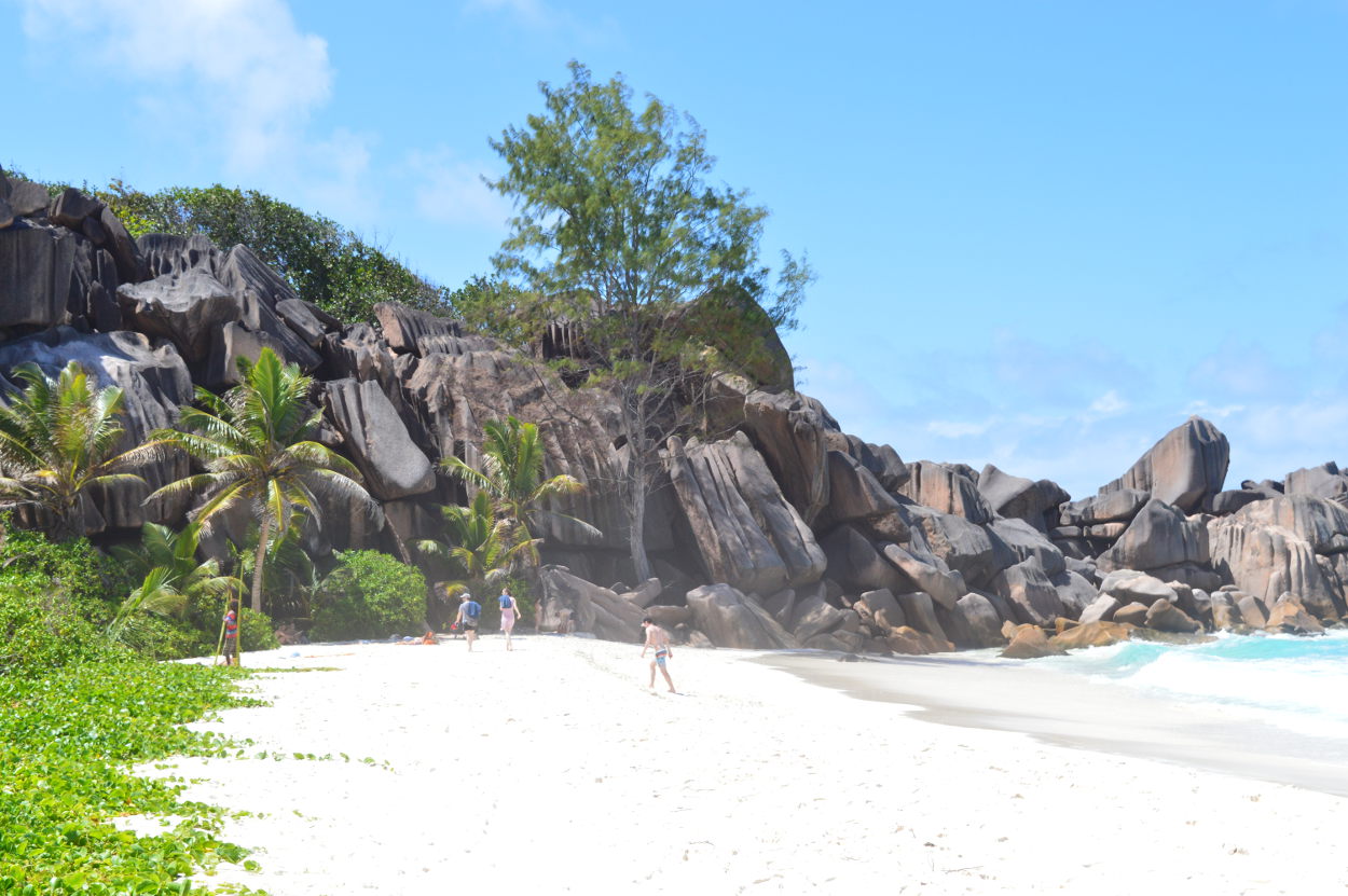 Where the path to Petite Anse begins