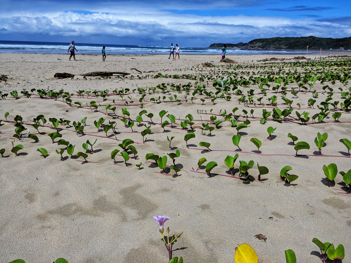 Nahoon Beach, East London