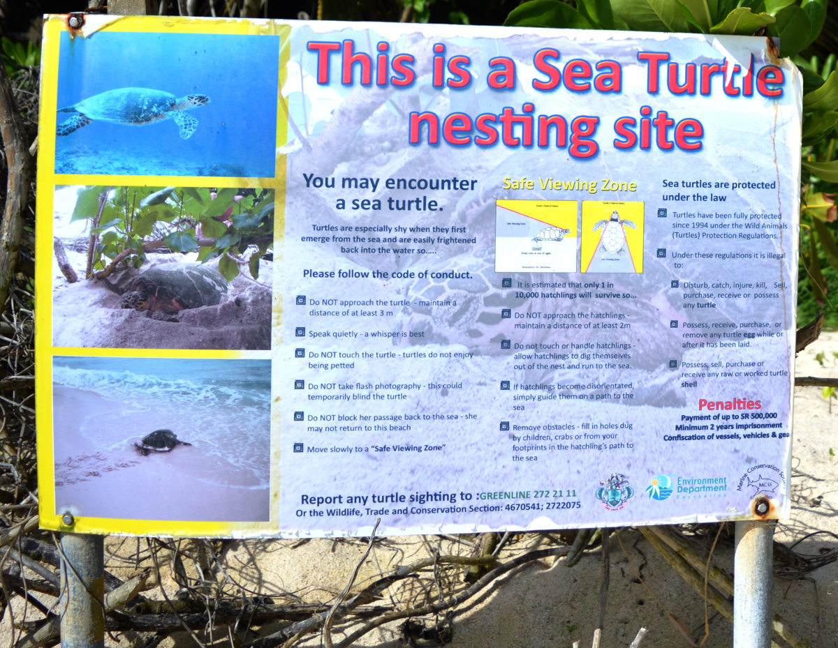 Turtles on the Beach Sign