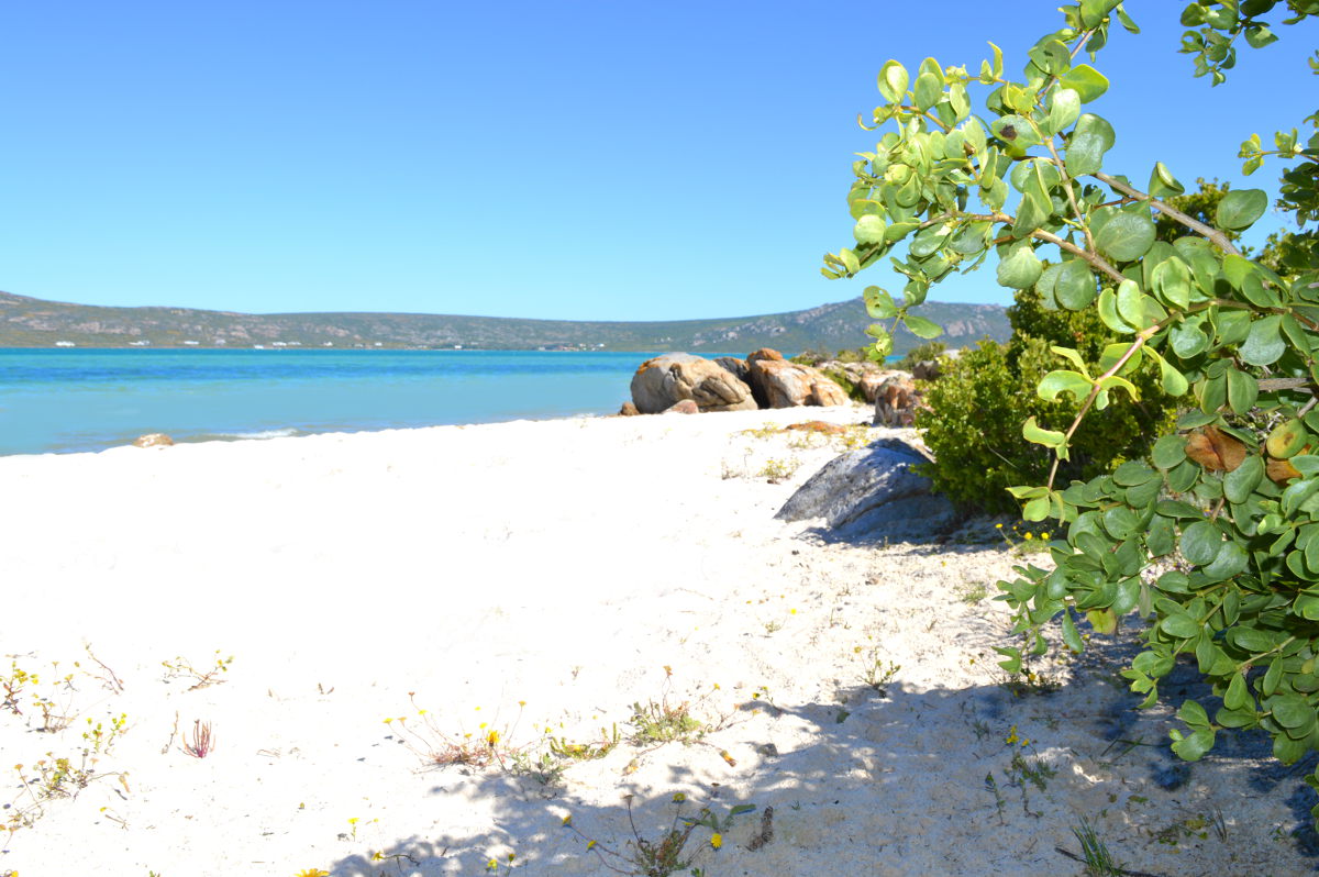 Shark Bay Beach