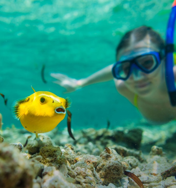 Snorkeling in the Seychelles