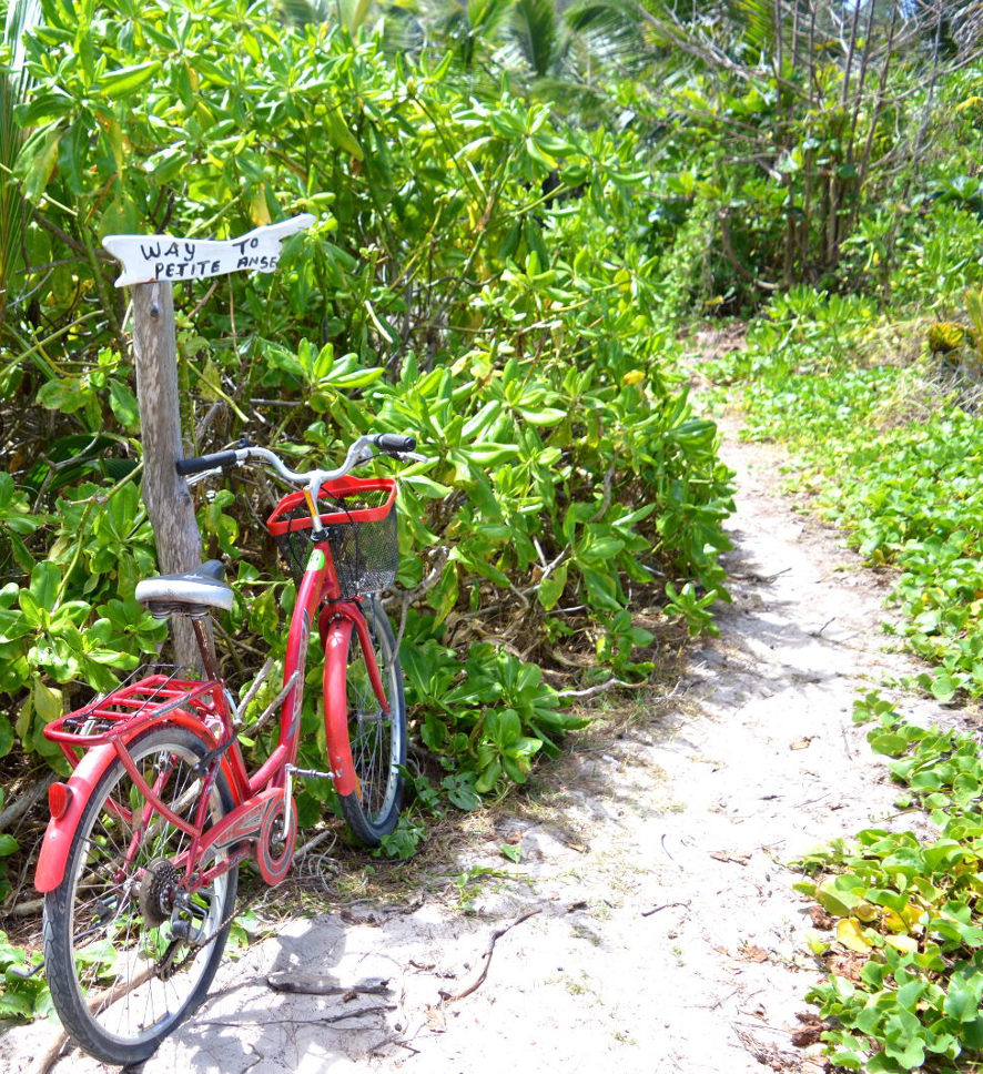 Path to Petite Anse